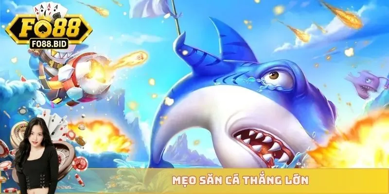 Mẹo săn cá thắng lớn