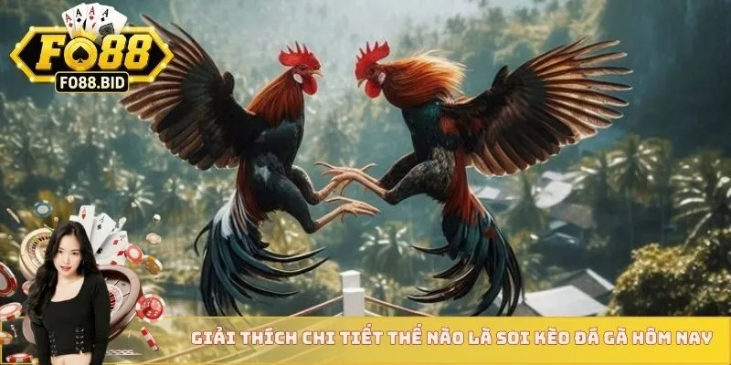 Soi Kèo Đá Gà Hôm Nay Nhận Ngay Cơ Hội Thắng Lớn Cùng FO88 2 Giải thích chi tiết thế nào là soi kèo đá gà hôm nay